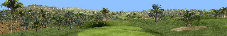 Very wide angle screenshot taken from game