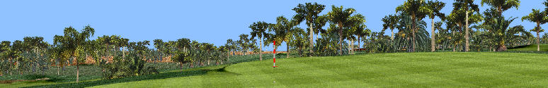 Very wide angle screenshot taken from game